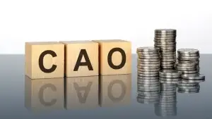 Stapel munten en blokken met het woord 'CAO', symboliserend de wijzigingen in de collectieve arbeidsovereenkomsten (CAO) voor 2024.
